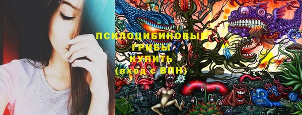 ешки Нягань