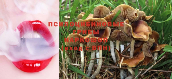 mdma Няндома
