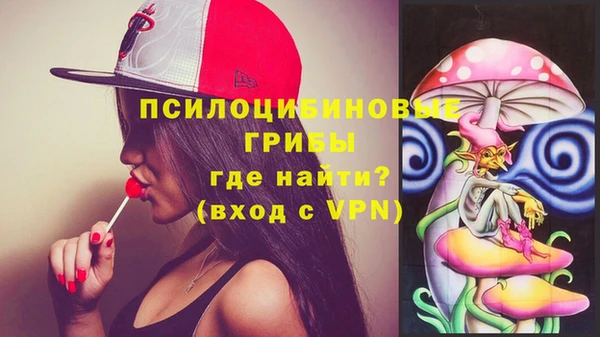 сатива Алзамай