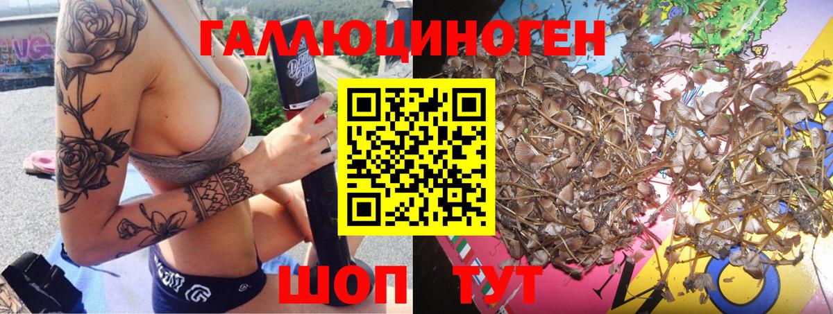 Псилоцибиновые грибы Psilocybe  Белогорск 