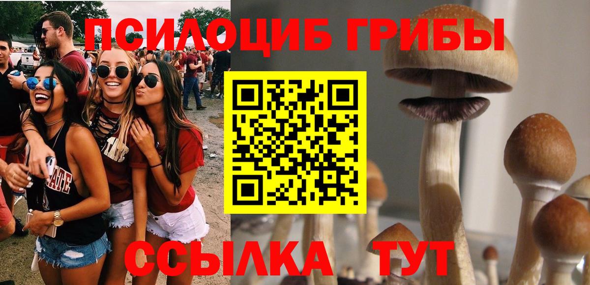 Псилоцибиновые грибы мицелий Белогорск